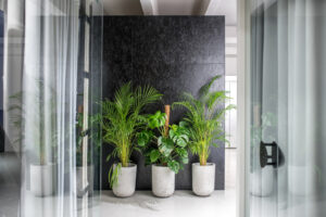 office plants facilities management